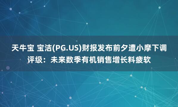 天牛宝 宝洁(PG.US)财报发布前夕遭小摩下调评级：未来数季有机销售增长料疲软