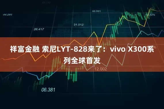 祥富金融 索尼LYT-828来了：vivo X300系列全球首发